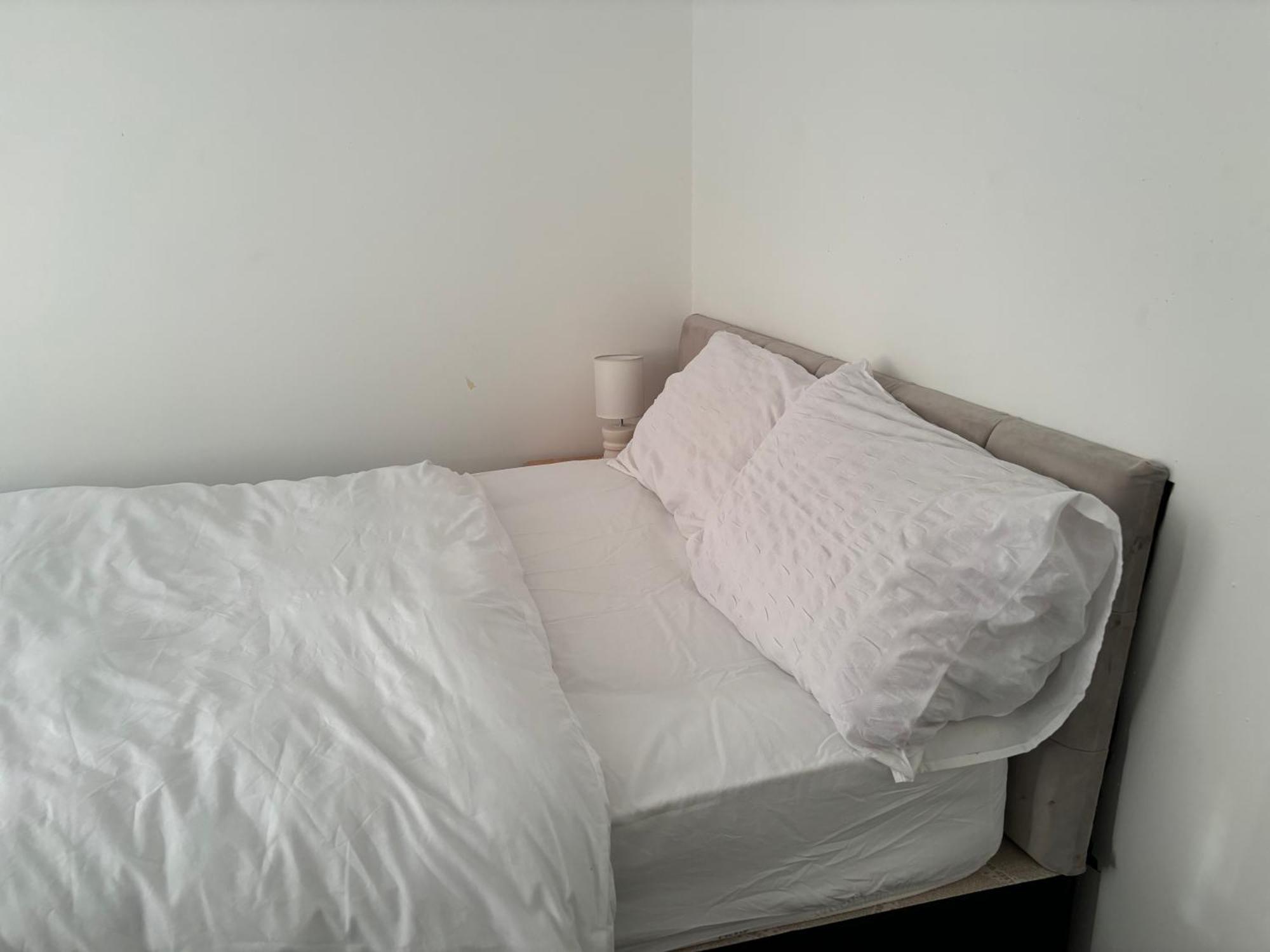 מלון דאדלי Stainless Guests House מראה חיצוני תמונה
